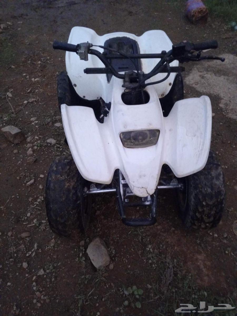 دباب سويدي10064504777516546113