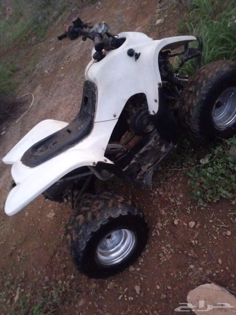 دباب سويدي10064504777516546114