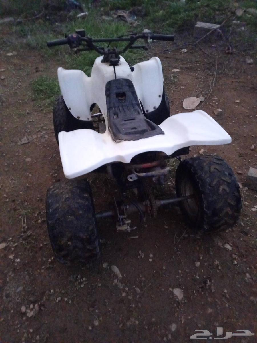 دباب سويدي10064504777516546111