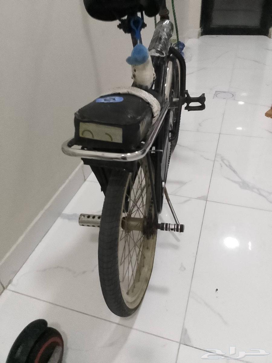 جديده خلفي دعاميه في مقعده جديده64505411981698111