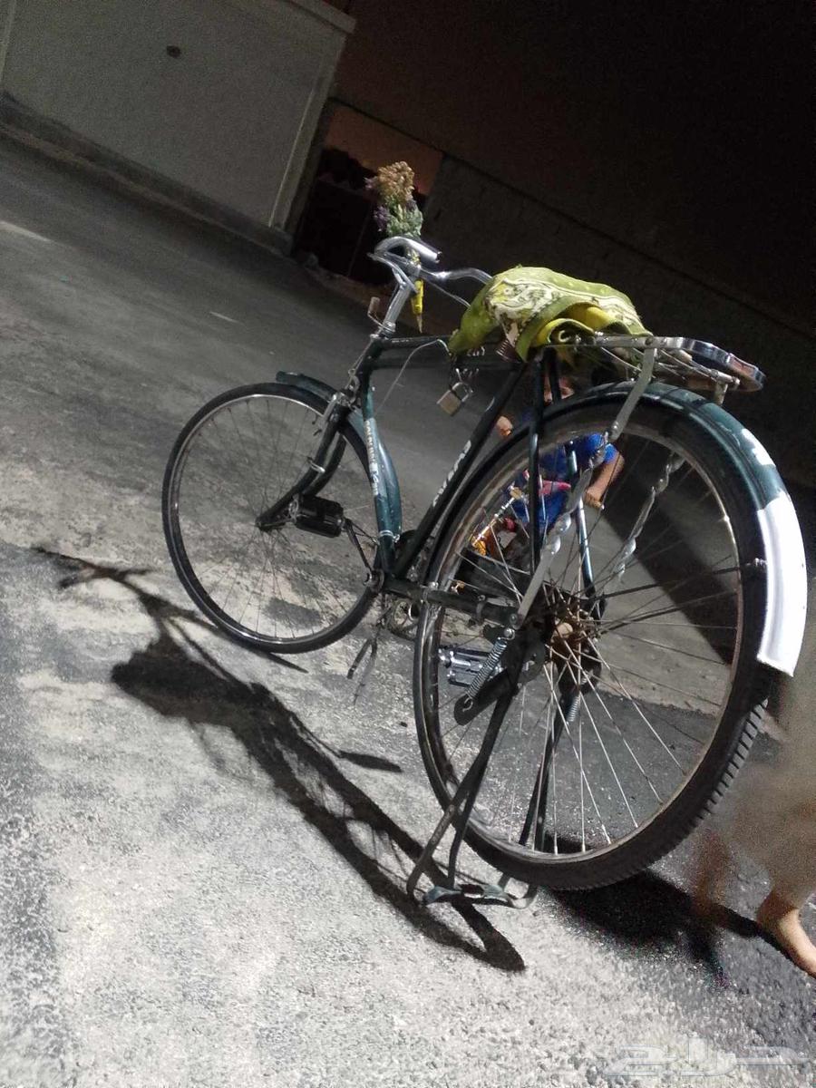 سيكل هندي مقاس 28 نظيف من جميع كل شيء64361282857347111