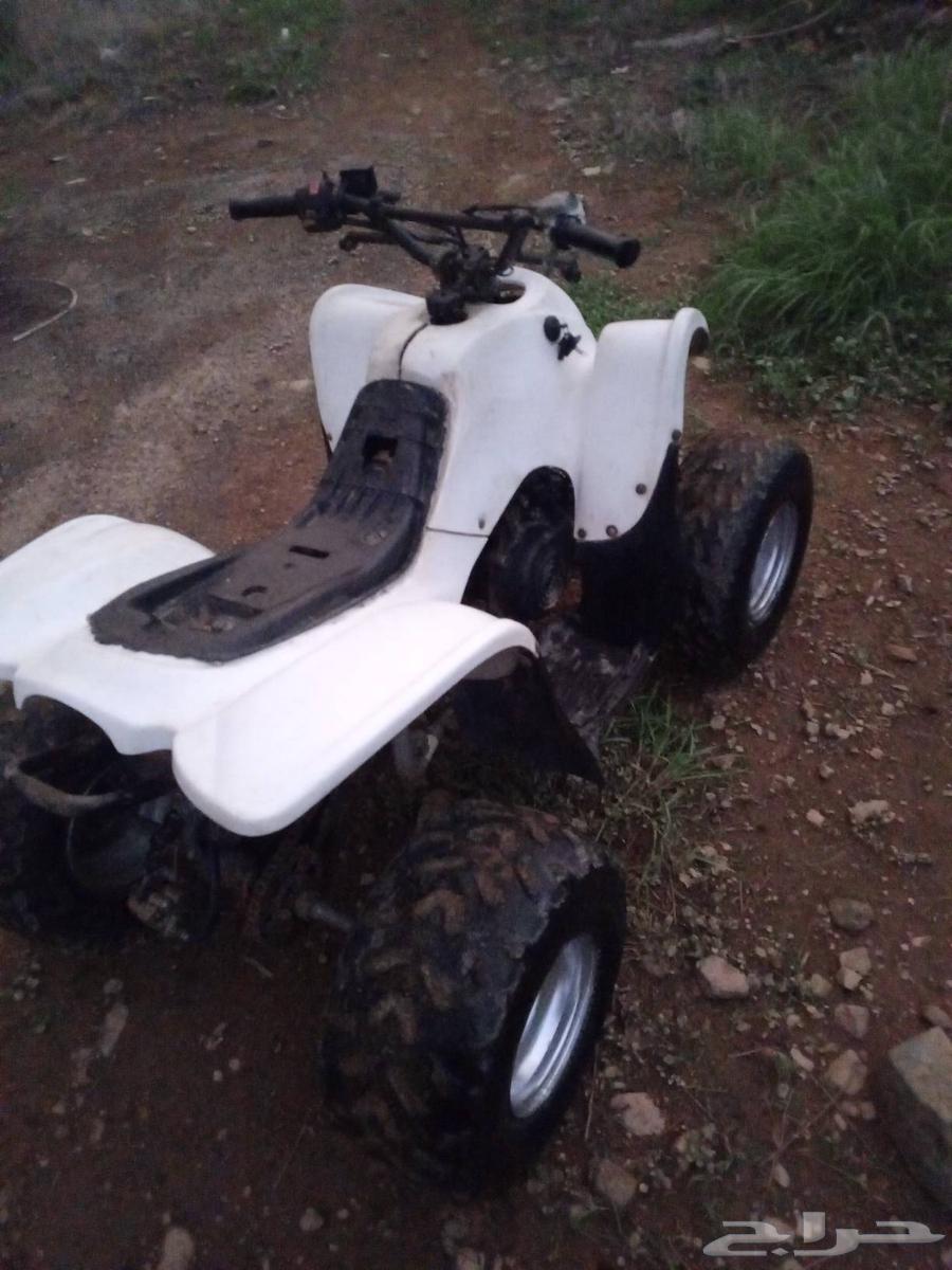 دباب سويدي10064504777516546110