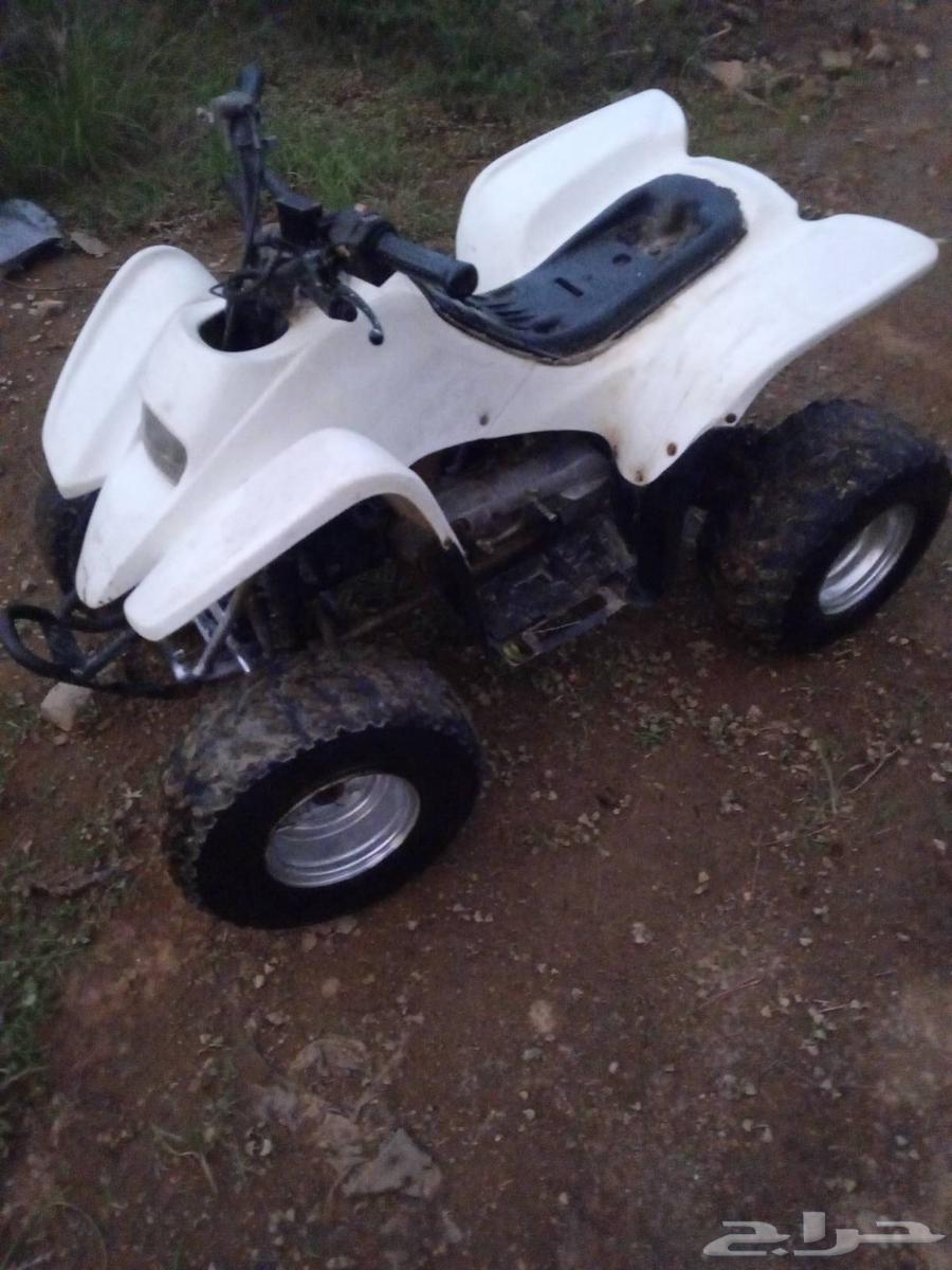 دباب سويدي10064504777516546112