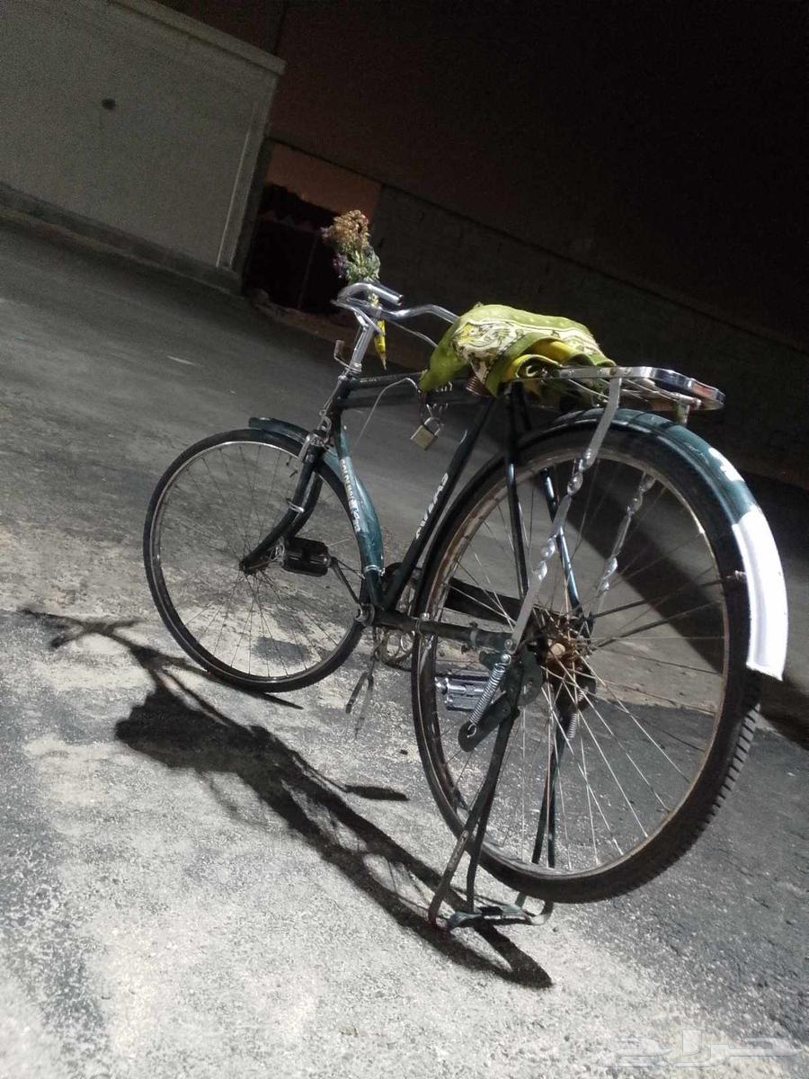 سيكل هندي مقاس 28 نظيف من جميع كل شيء64361282857347112