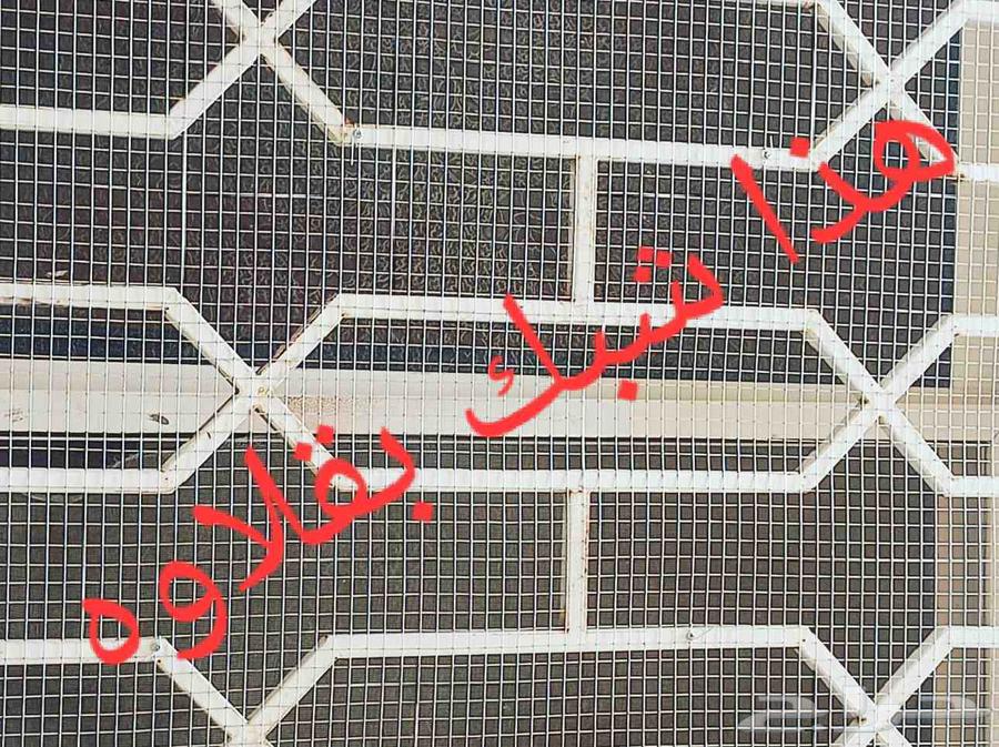 Bird Repeller Pigeon63617361502338112