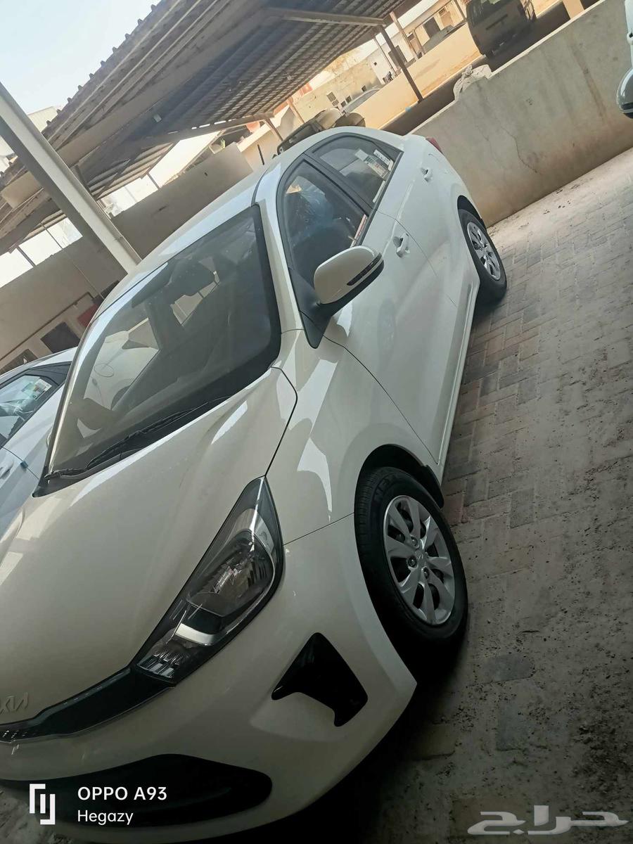 كيا بيجاس 2025 عرض خاص64498187381635114