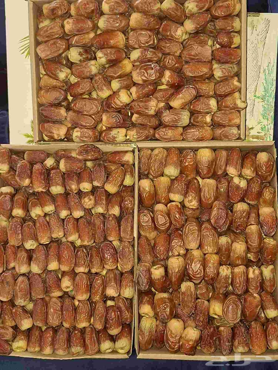 Luxury Royal Sukkari Dates64360183506178112