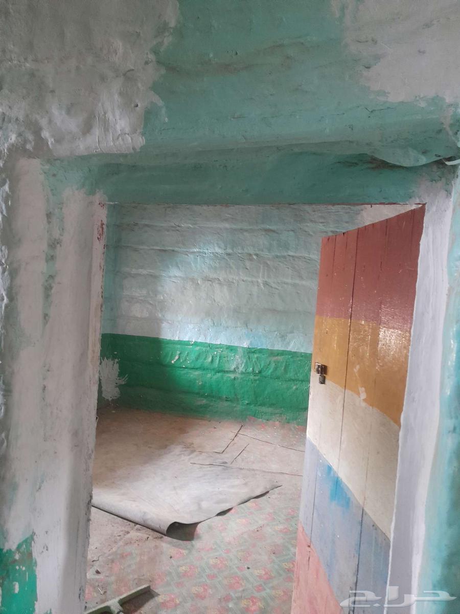Restoration and renovation of old palaces63617356870658113