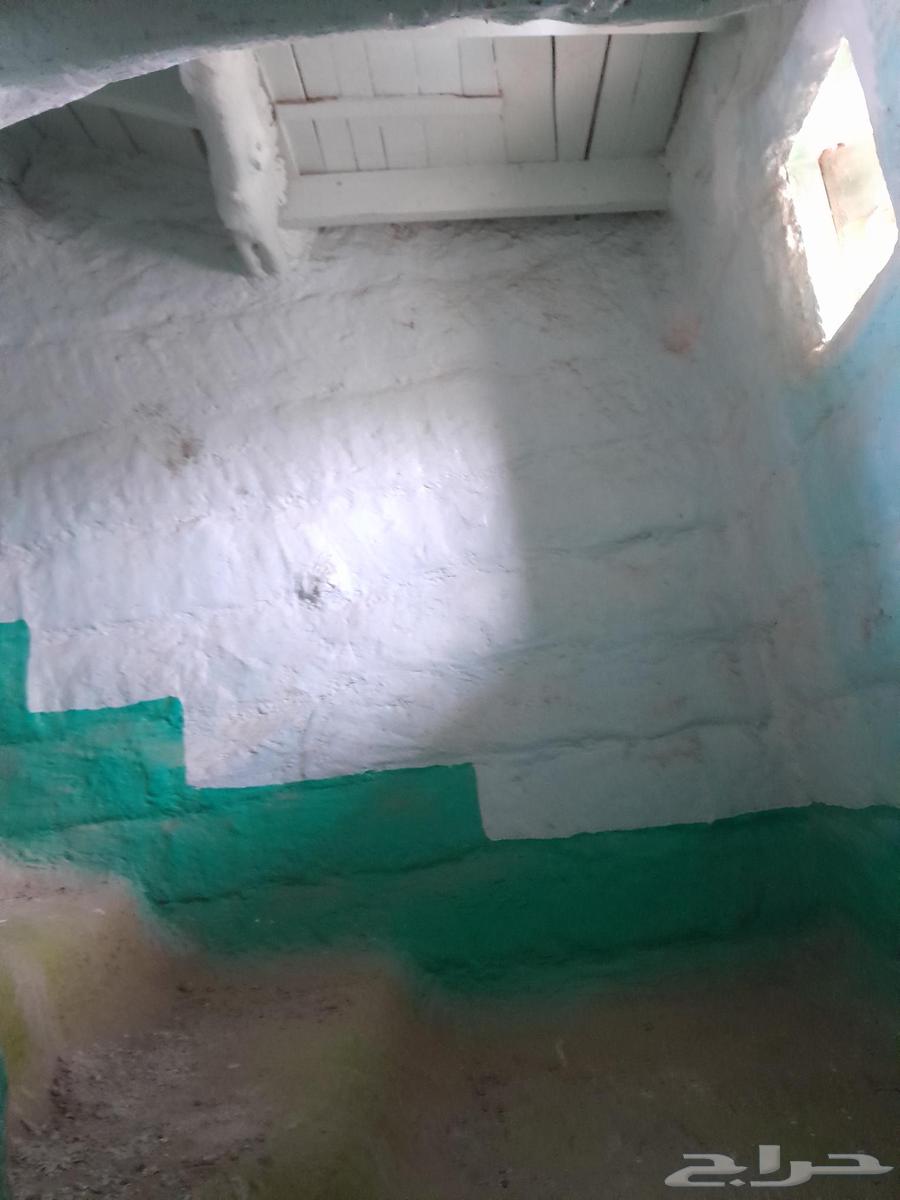 Restoration and renovation of old palaces63617356870658114