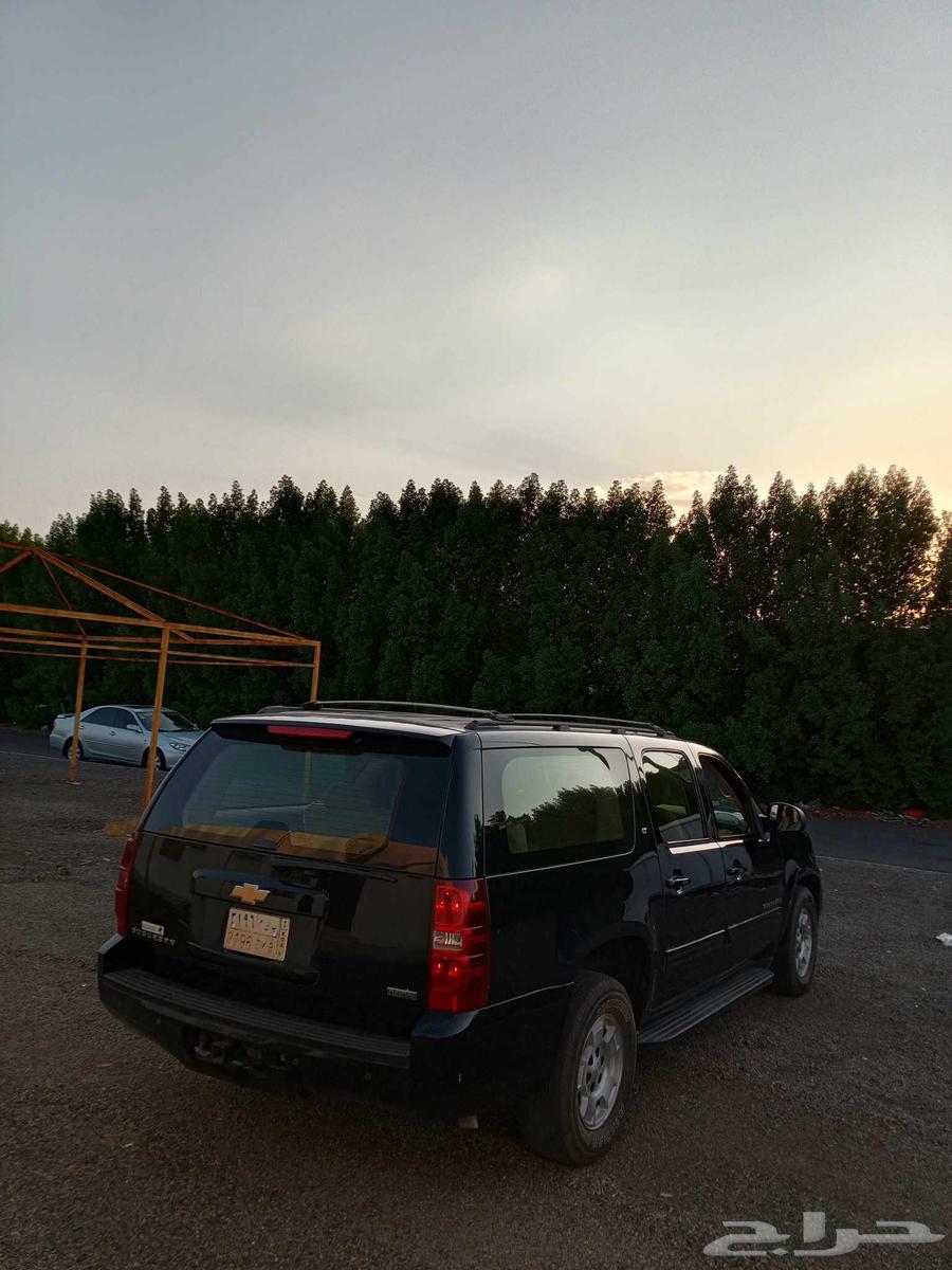 جمس سوبربان نظيف 201264495583289603112