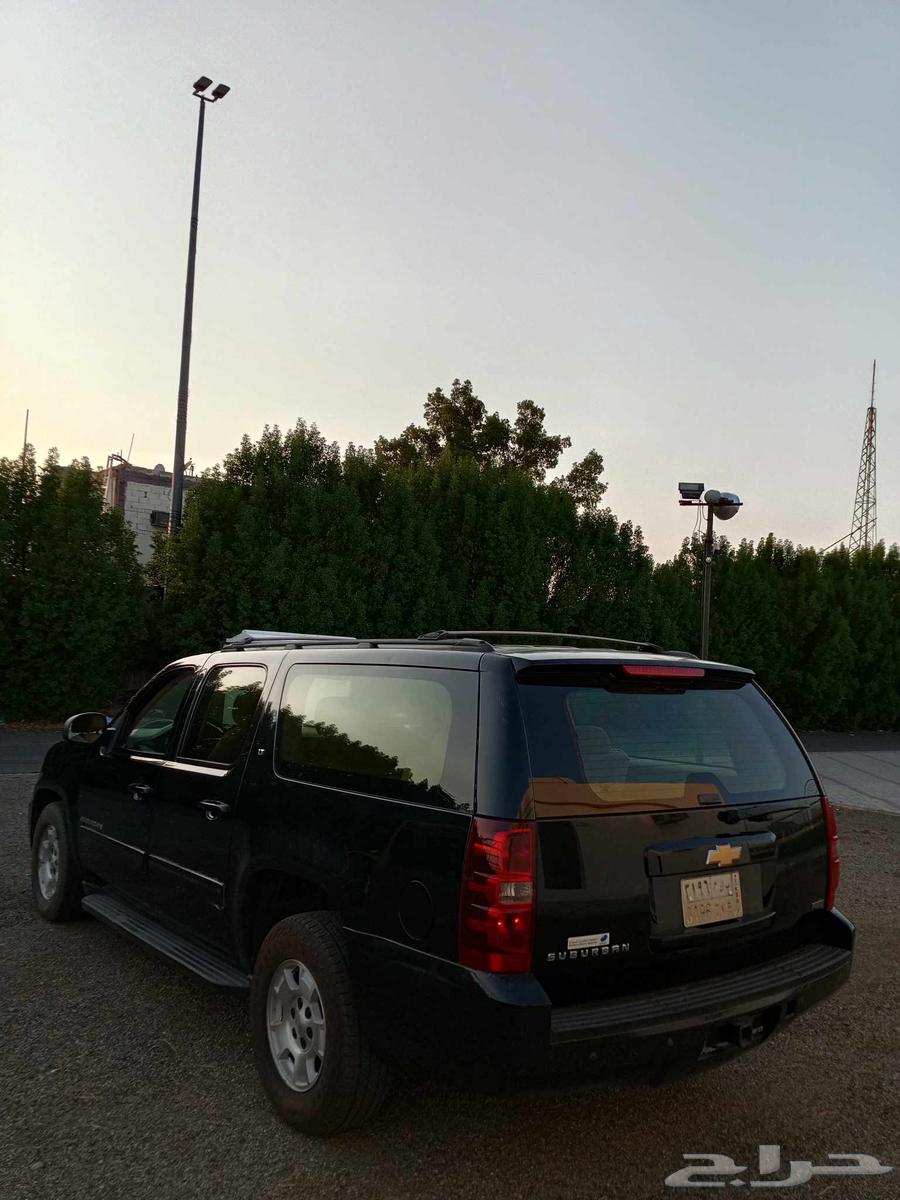 جمس سوبربان نظيف 201264495583289603113