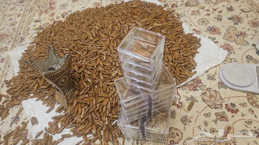 Improved Artificial Natural Oud64266130209027111