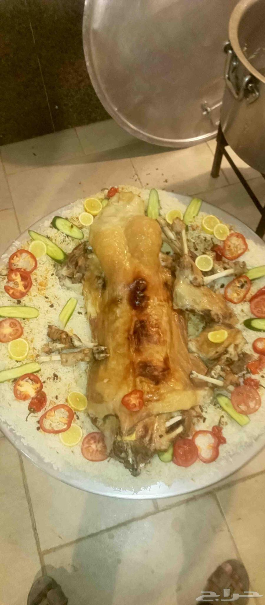 طباخ متنقل ابو عامر63617342936450112