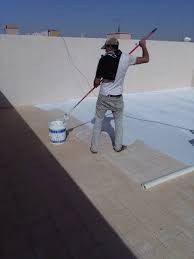Water Leak Detection and Roof Waterproofing with Foam and Water-Resistant Materials63617359975811111