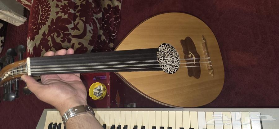 للبيع عود محمود داغر فئة D64353765734785111