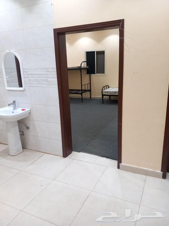 استراحه للايجار في ضباء63613862311043111