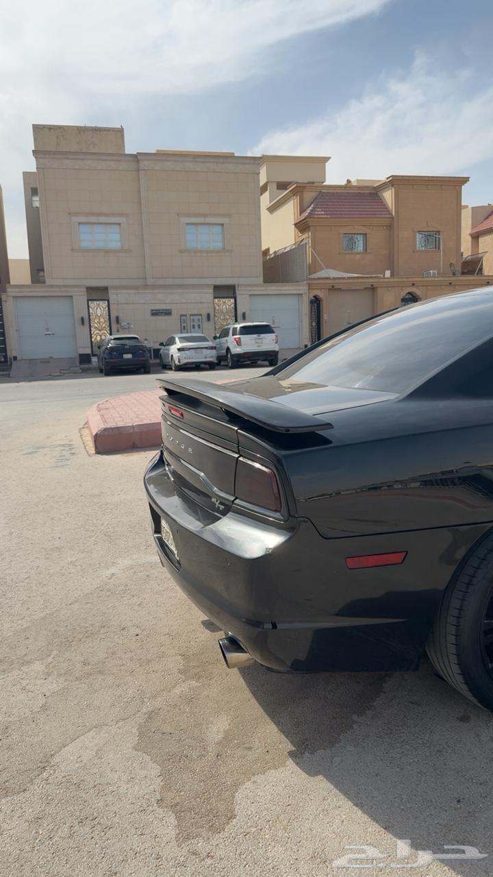 كبوت وصدام خلفي دوج64504970203010110