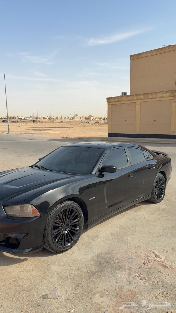 كبوت وصدام خلفي دوج64504970203010111