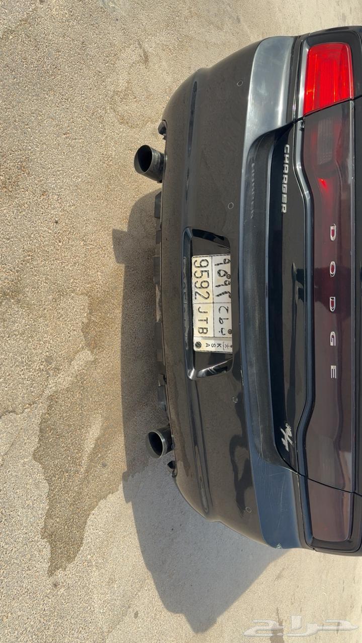 كبوت وصدام خلفي دوج64504970203010114