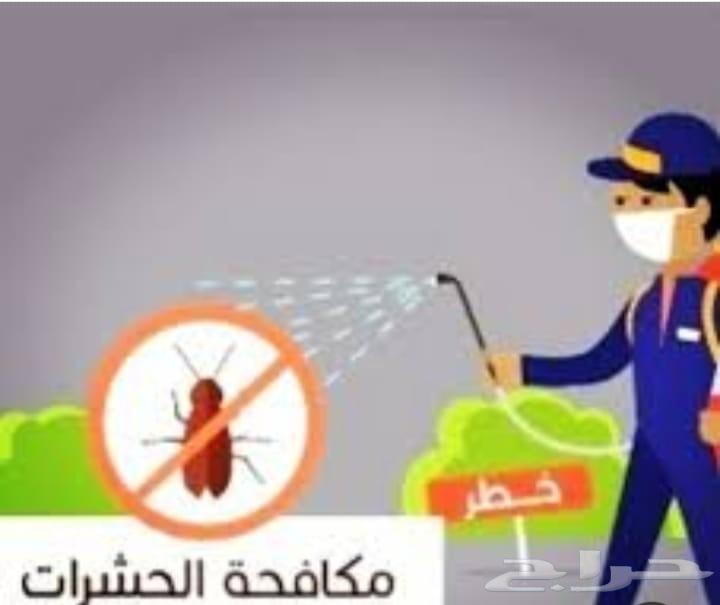 Pest Control Company, Pesticide Spraying, Cockroach, Difan Pesticide63617354024961112