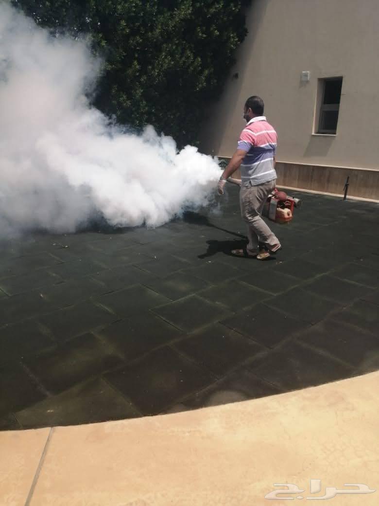 Al-Harbi Clean Pest Control Company63617342190849111