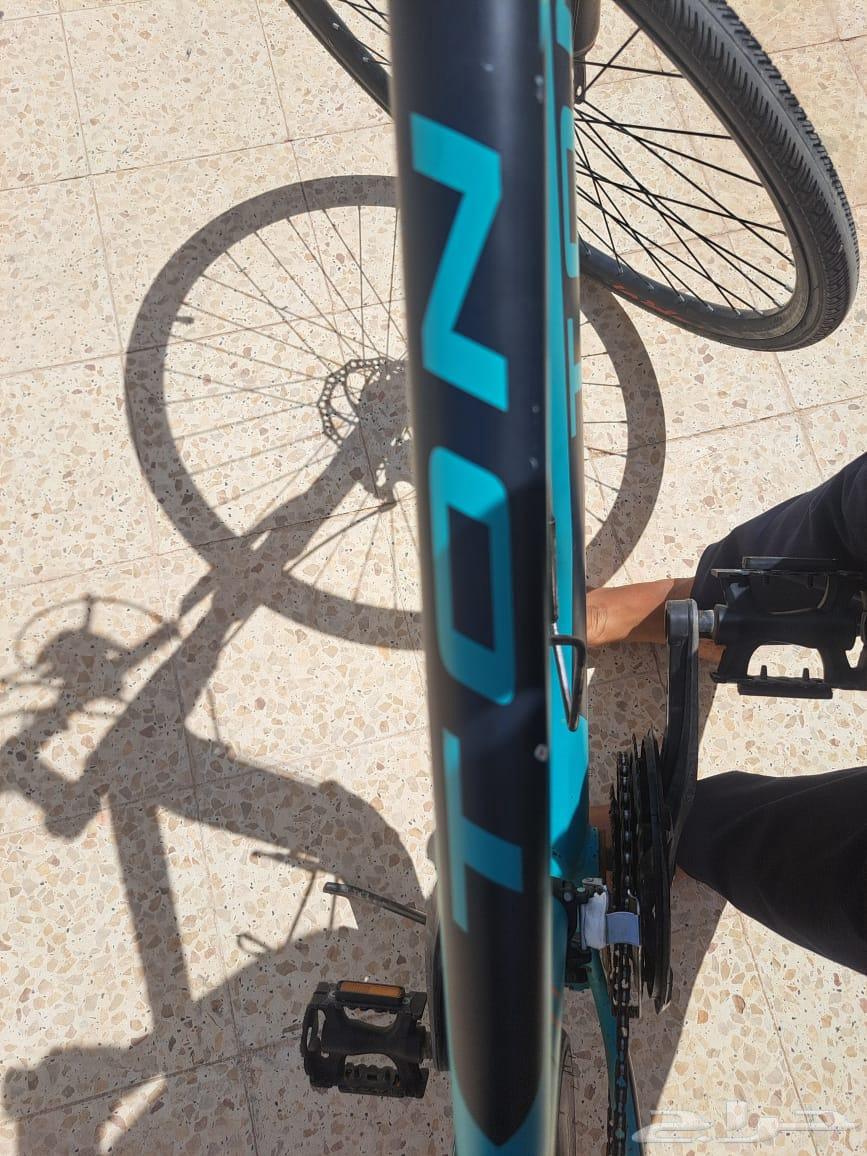 سيكل تون اصلي على السوم64499842209155112