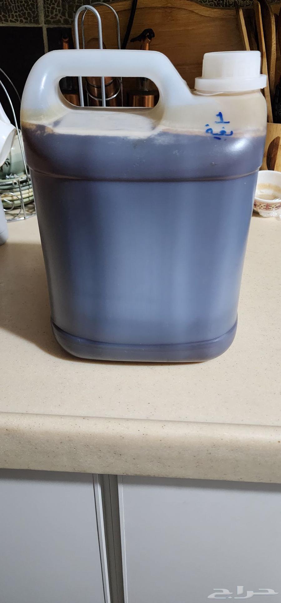 دبة عسل سدر بغية يمني للبيع بسعر ممتاز64362317685633111