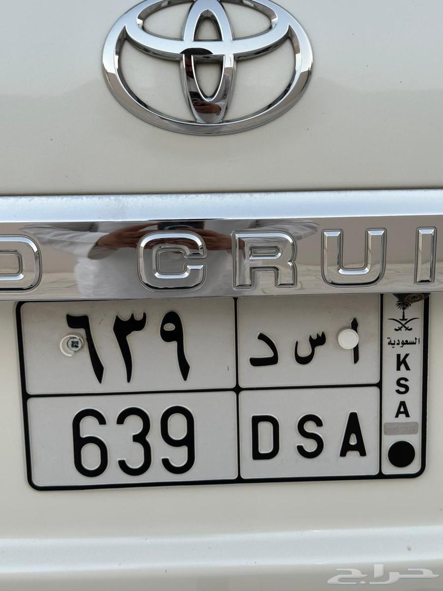 لوحة (اسد) للبيع64503077096707111