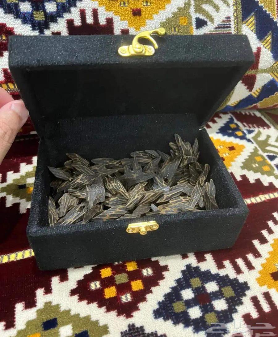 عود التايقر الفيتنامي64374393476098110