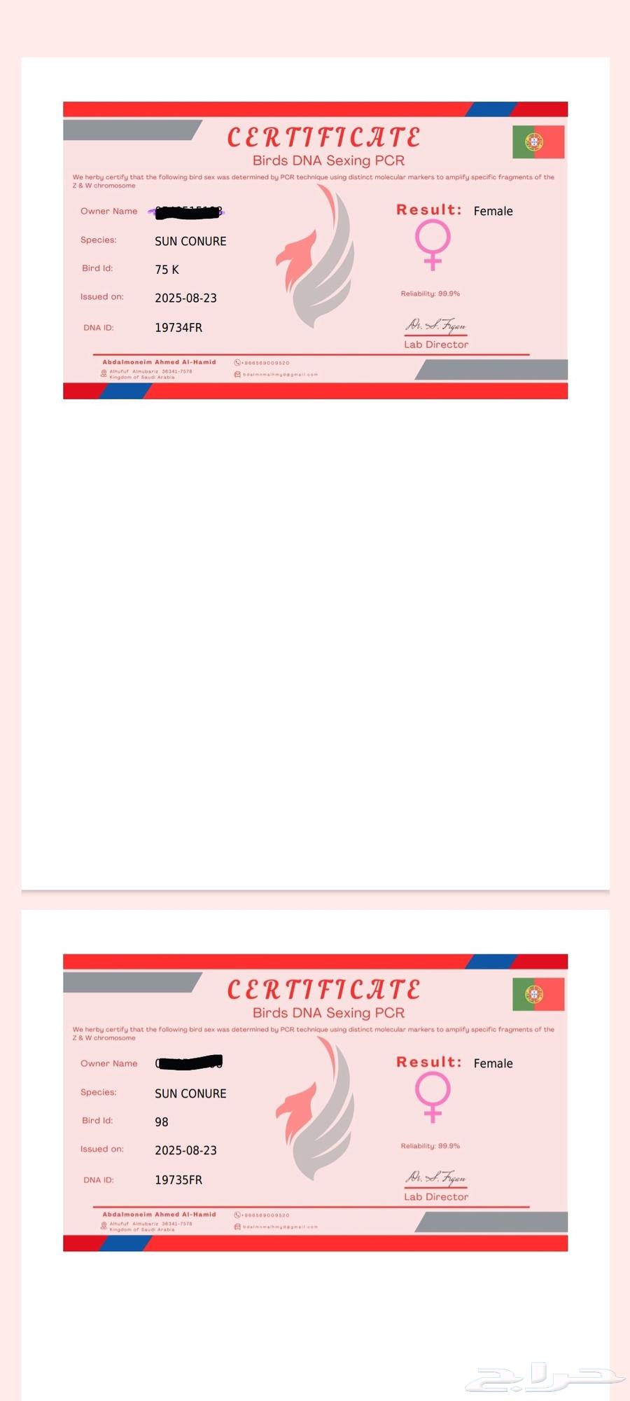 اثنين صن كنيور64364861952131111