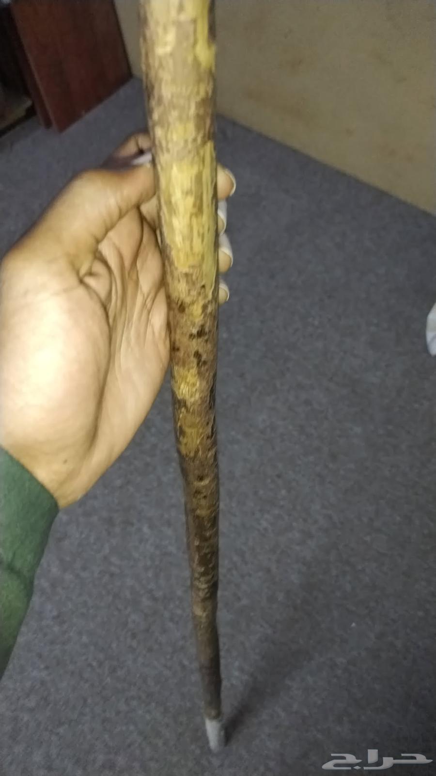 A flute stick on Asom64372346125186111