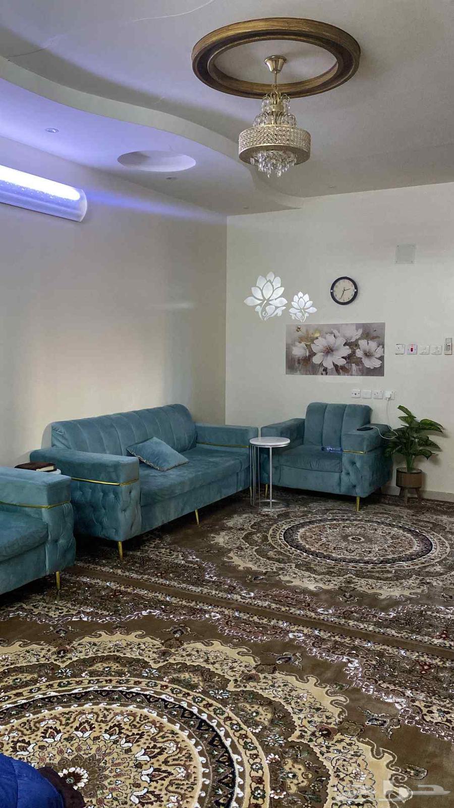 Clean 11-person sofa for sale with 2x3 carpet, and 4x4 floor council with carpet64369937520259110