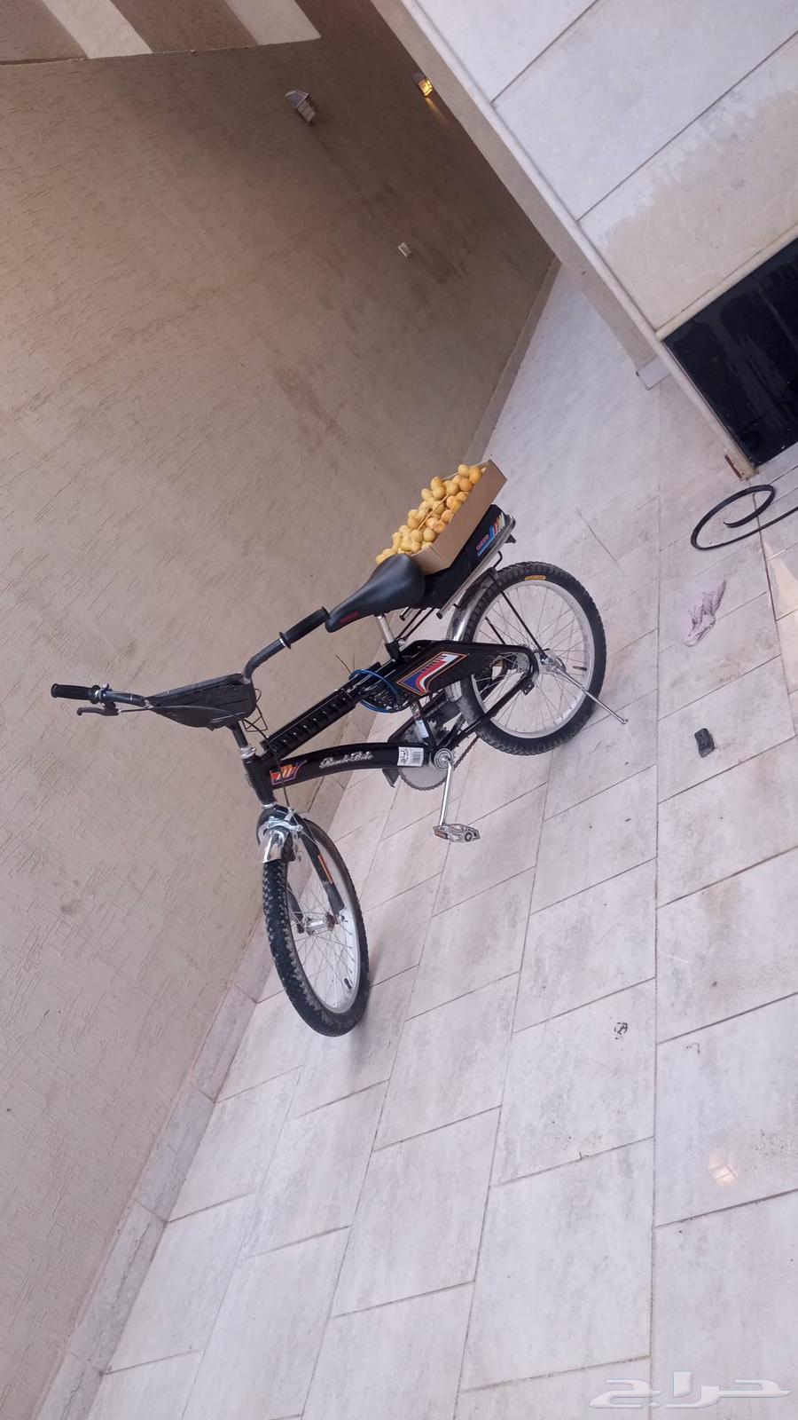 سيكل رامبو اندنوسي اصلي64366659052163111