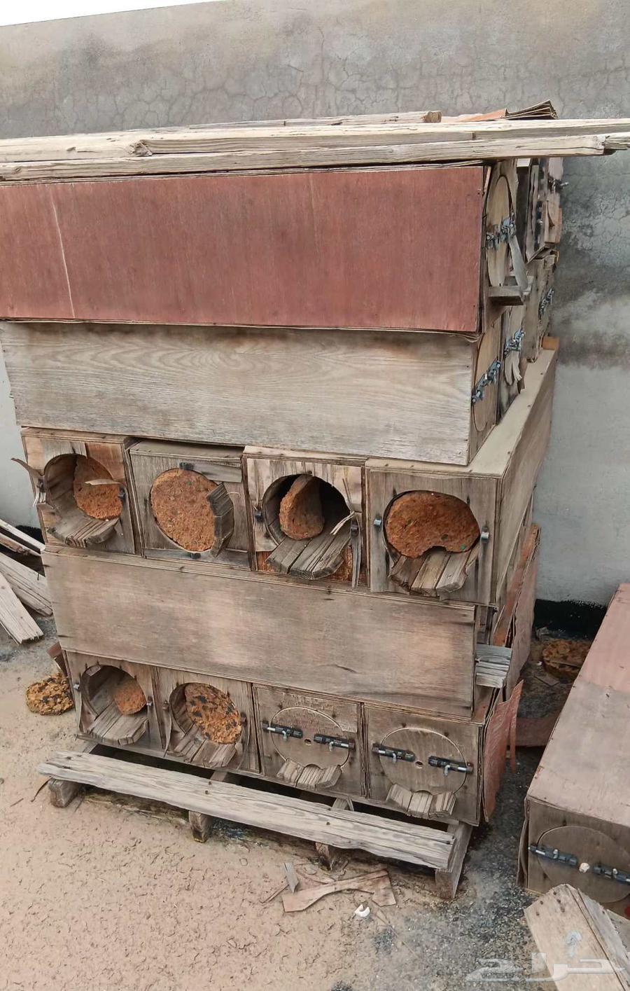 خلايا نحل مستعمله64371584852994110