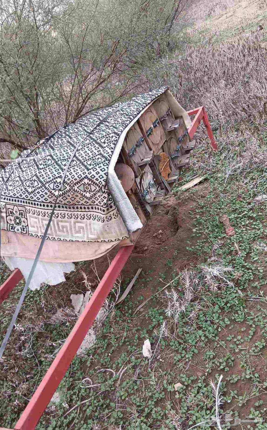 خلايا نحل مستعمله64371584852994112