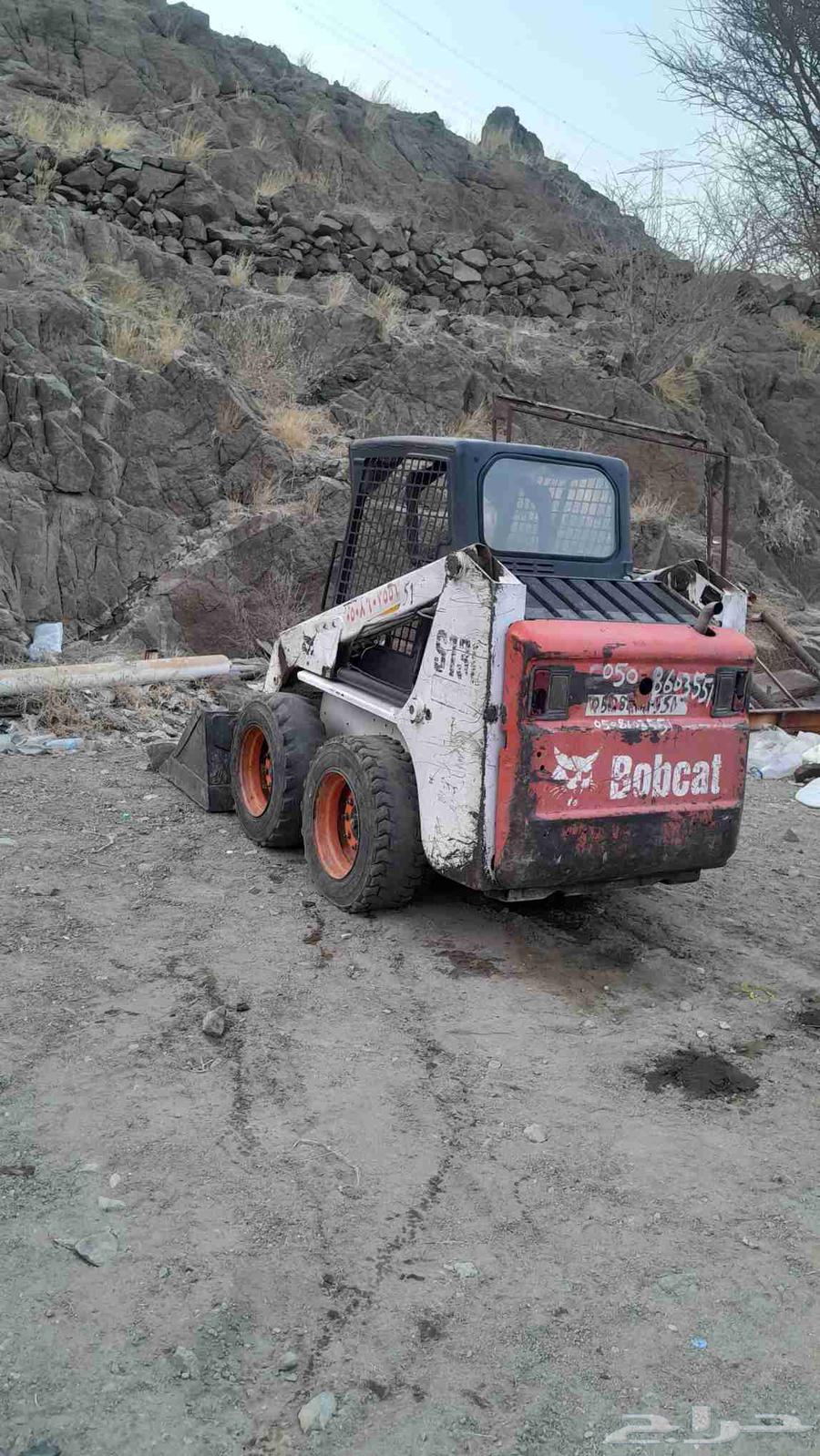 بوبكات ببكات للبيع64515975541121111