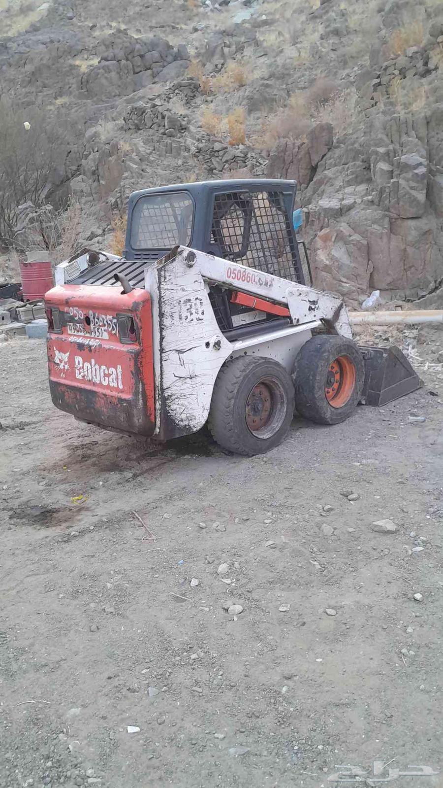 بوبكات ببكات للبيع64515975541121112