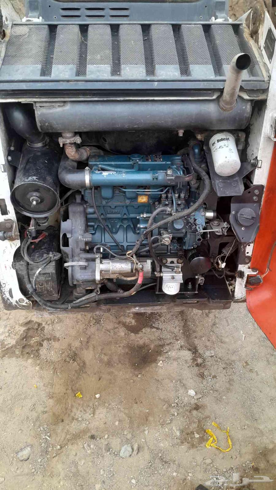 بوبكات ببكات للبيع64515975541121110