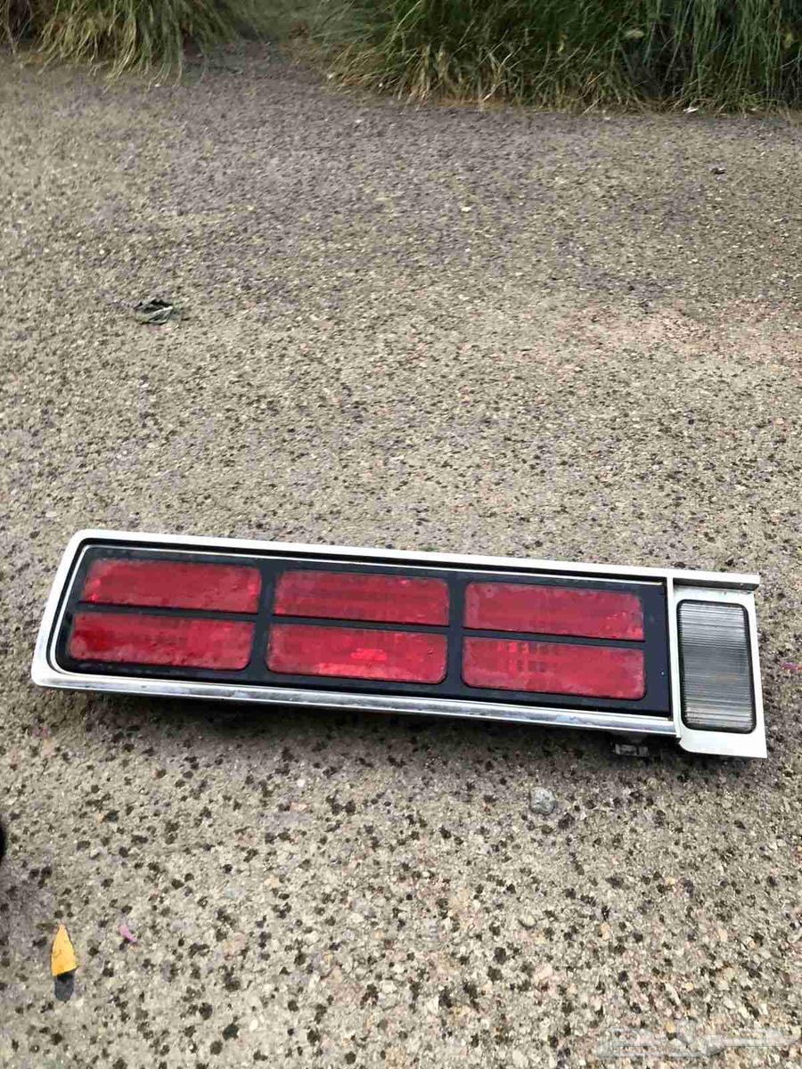 صطب كابرس64520432087171113