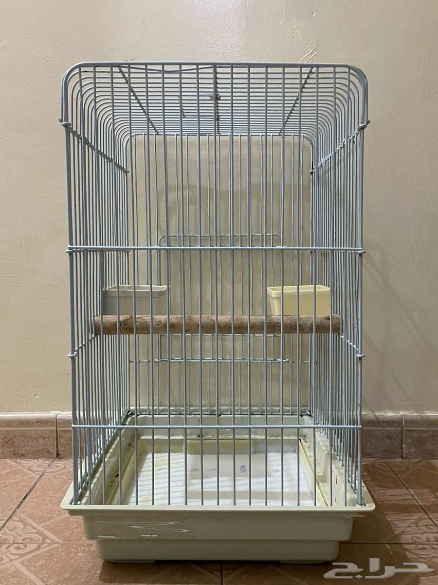 Large parrot cage for sale63619160502147112