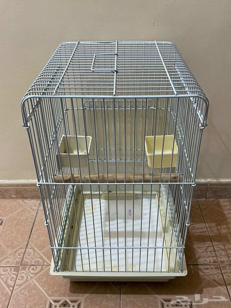 Large parrot cage for sale63619160502147113
