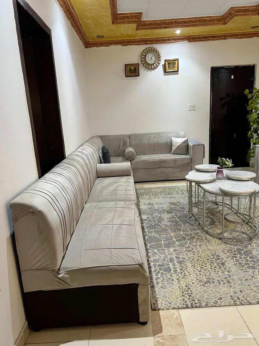 كنب للبيع بسعر 130064374422726914111