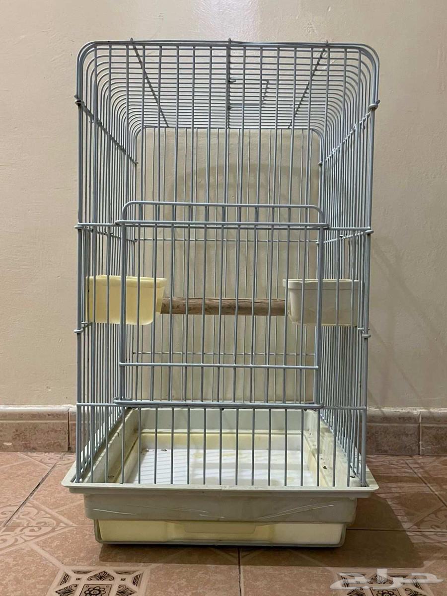 Large parrot cage for sale63619160502147111