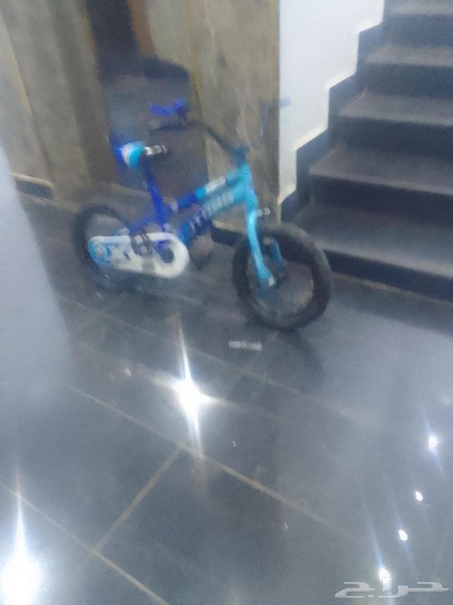سيكل للبيع جديد من يودوالشراؤ الرجال التواصل64374905735427110