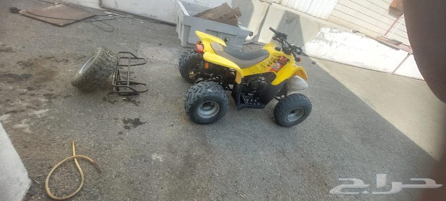 دباب سويدي أصفر موديل 1764518577371265112