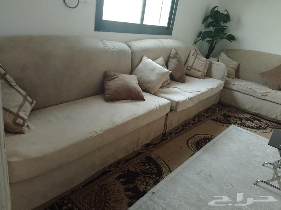 كنب شبه جديد للبيع السعر 35064375902133121110