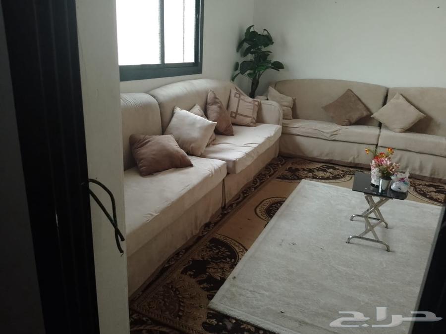 كنب شبه جديد للبيع السعر 35064375902133121112