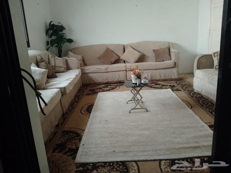 كنب شبه جديد للبيع السعر 35064375902133121113