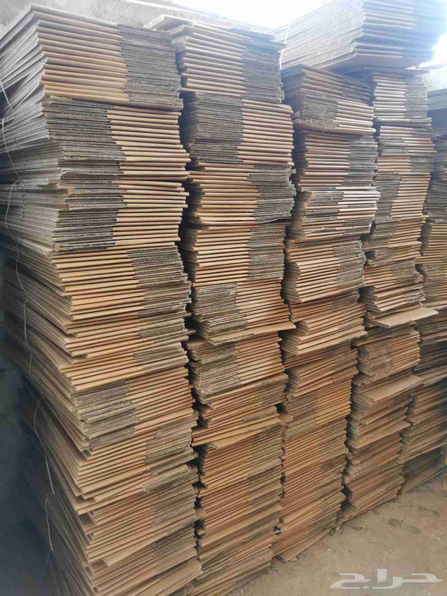 كرتون تمر ابيض للسوق64374141579265111