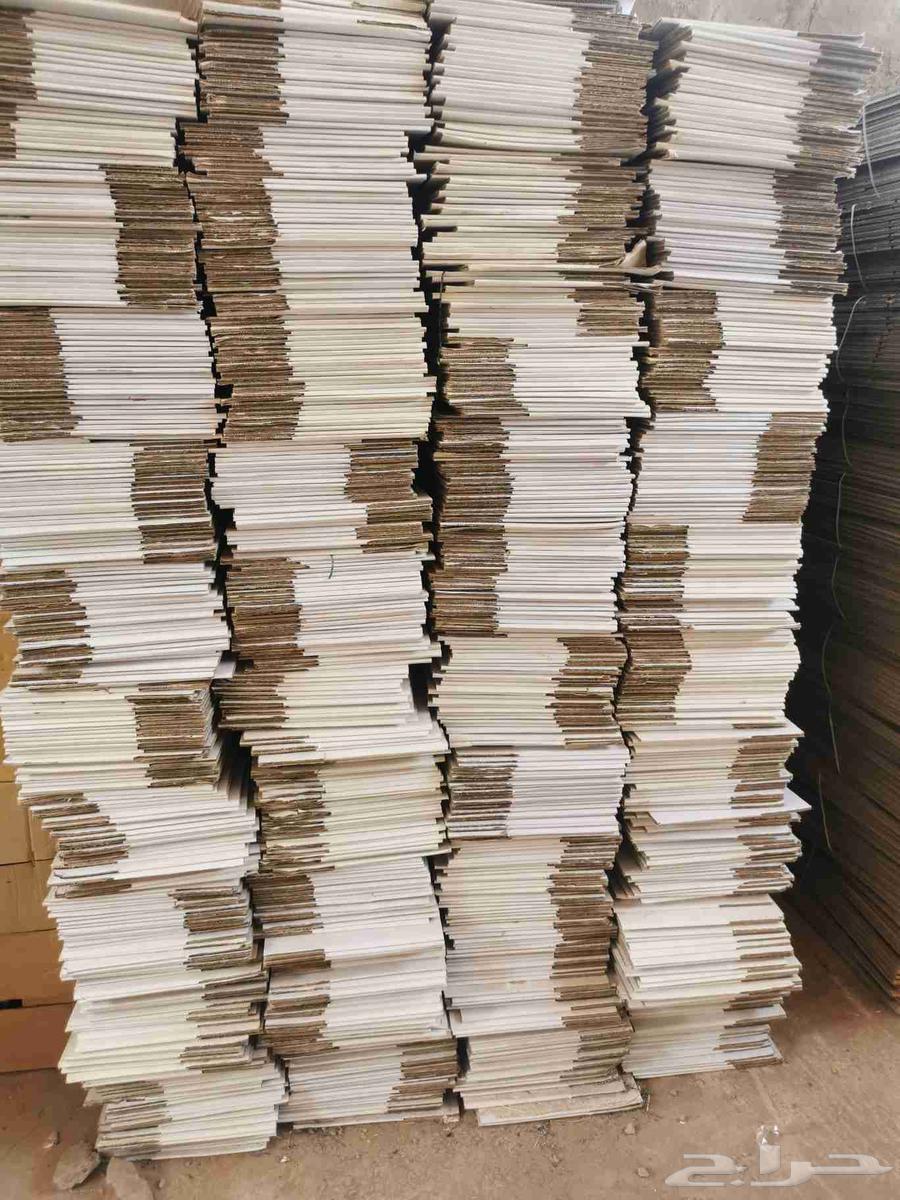 كرتون تمر ابيض للسوق64374141579265110